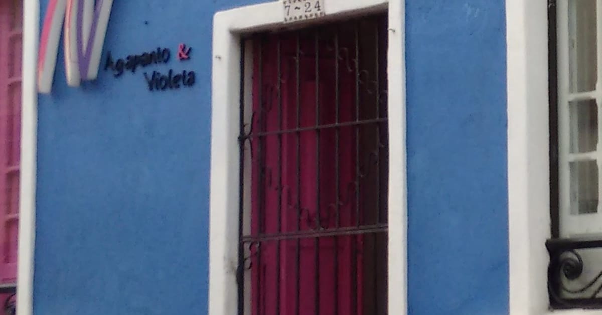 Agapanto  Violeta Bogot Men Telfono Y Opiniones Sluurpy